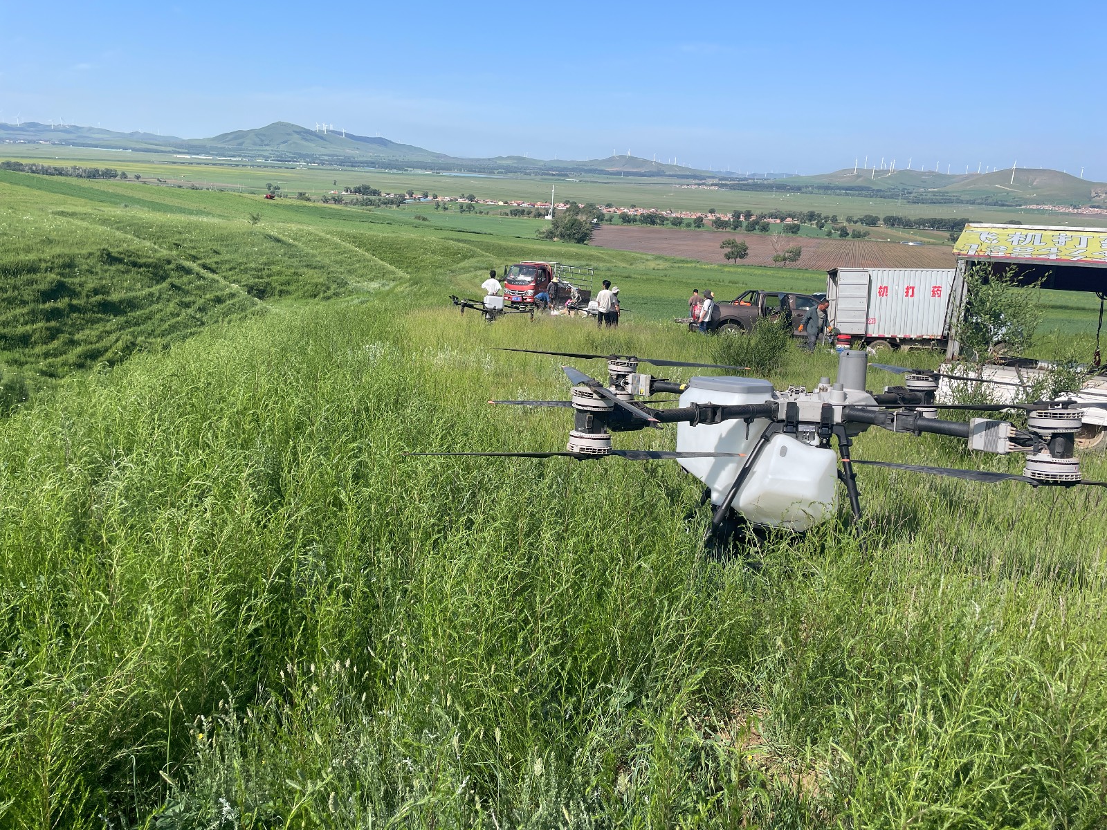 退化草原修複治理工程